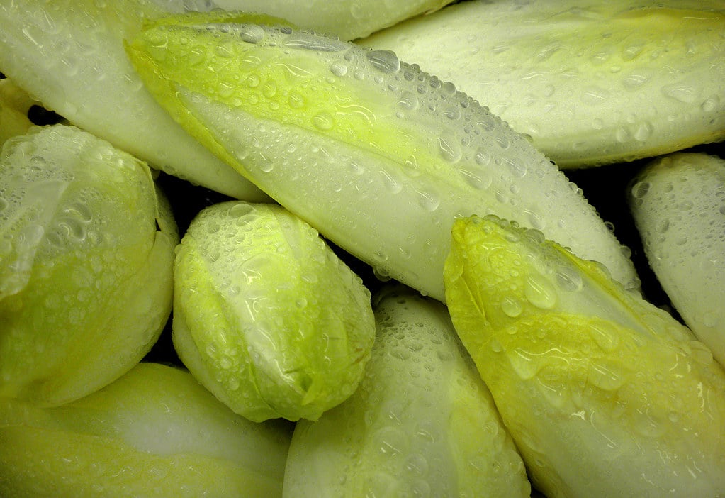 Comment cuire parfaitement des endives à la cocotte minute ? - Vins