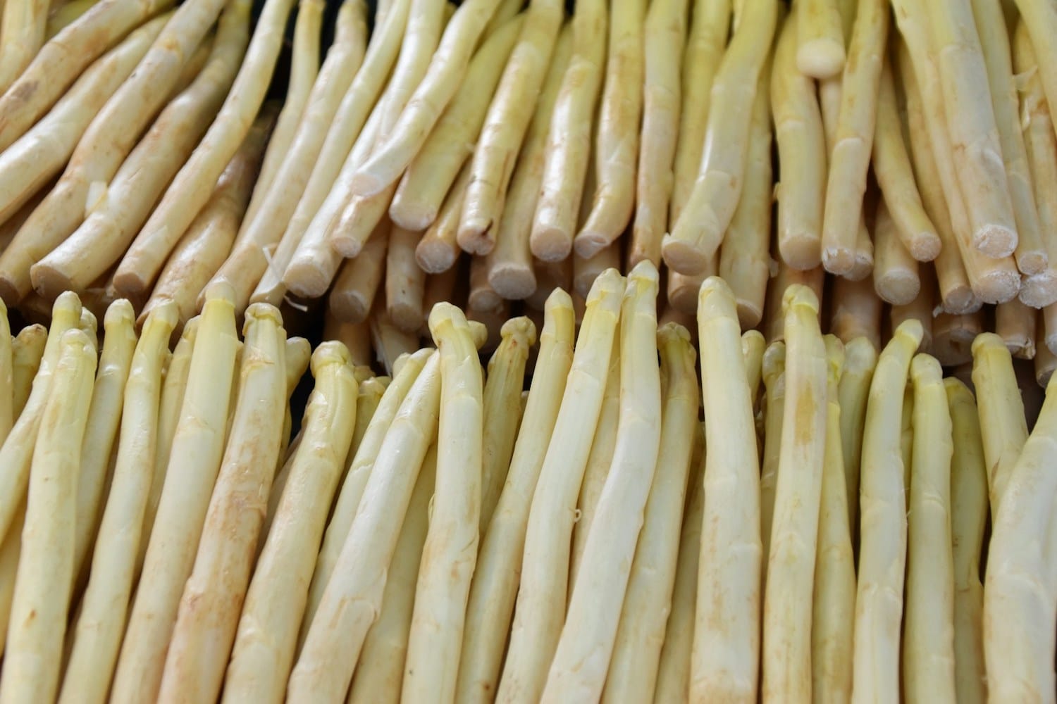 cuisson asperges blanches cocotte minute