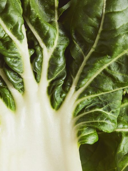 blettes au beurre citronné