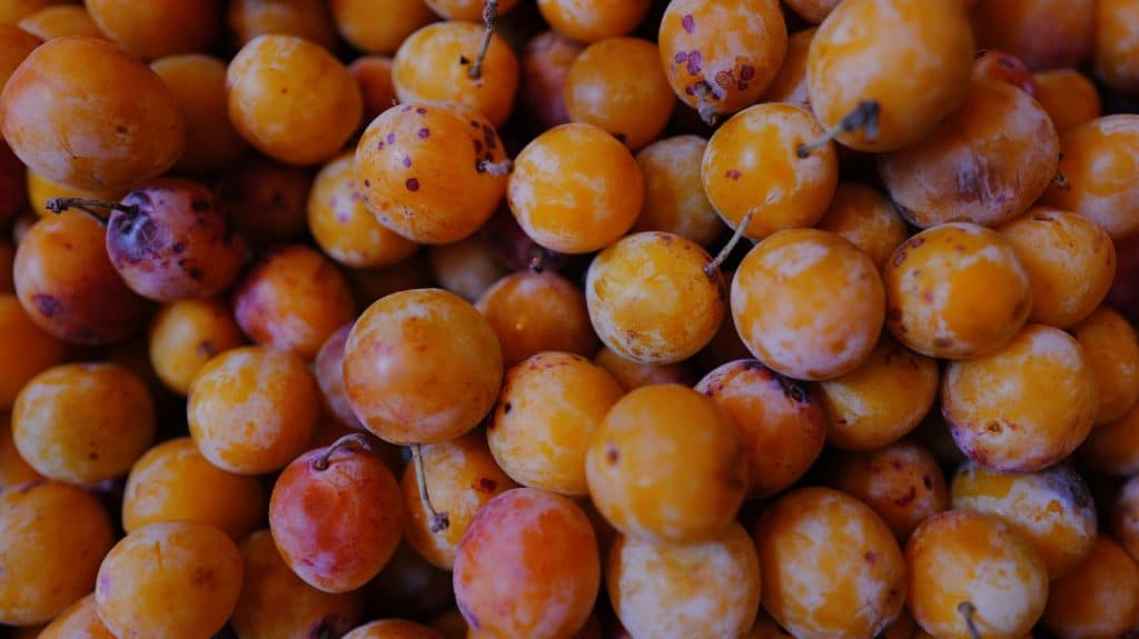 confiture de mirabelles