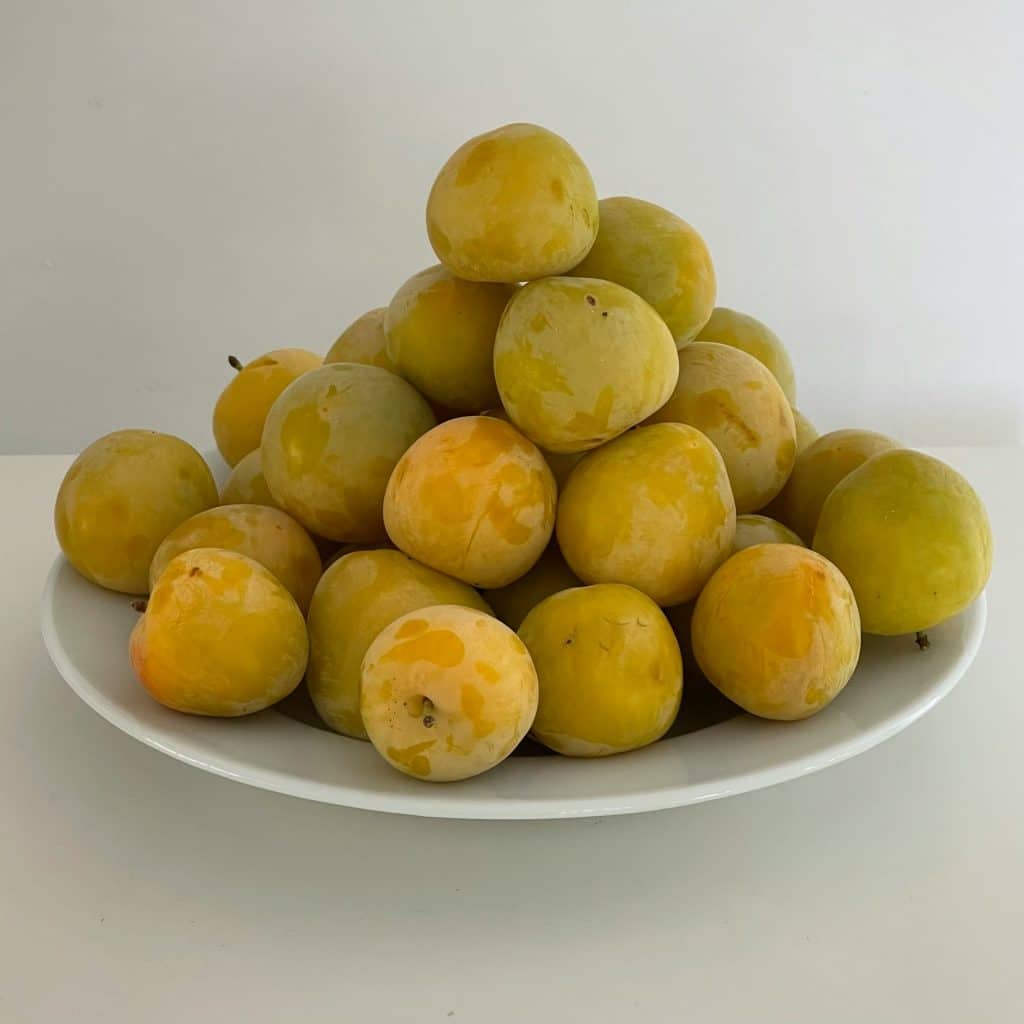 confiture de mirabelles