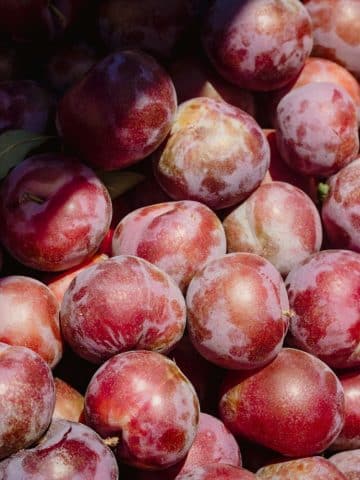congeler des prunes