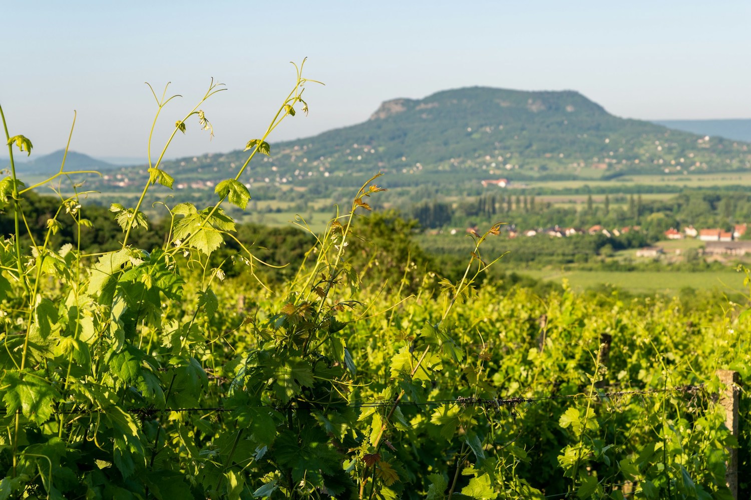 terroirs de Bourgogne
