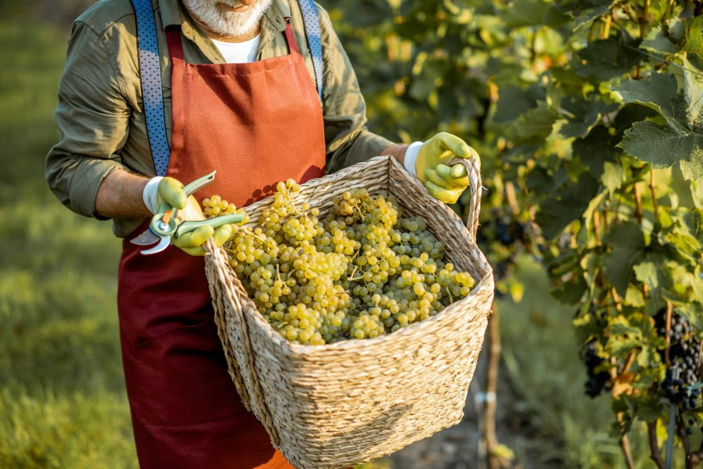 vendre du vin en ligne
