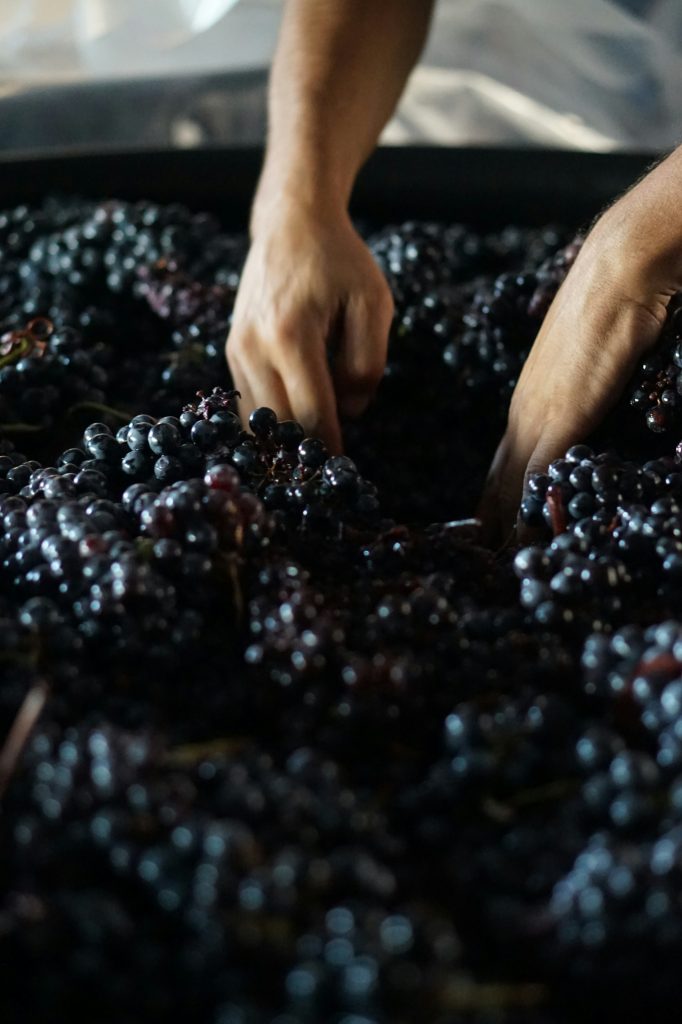 domaine de Pessac