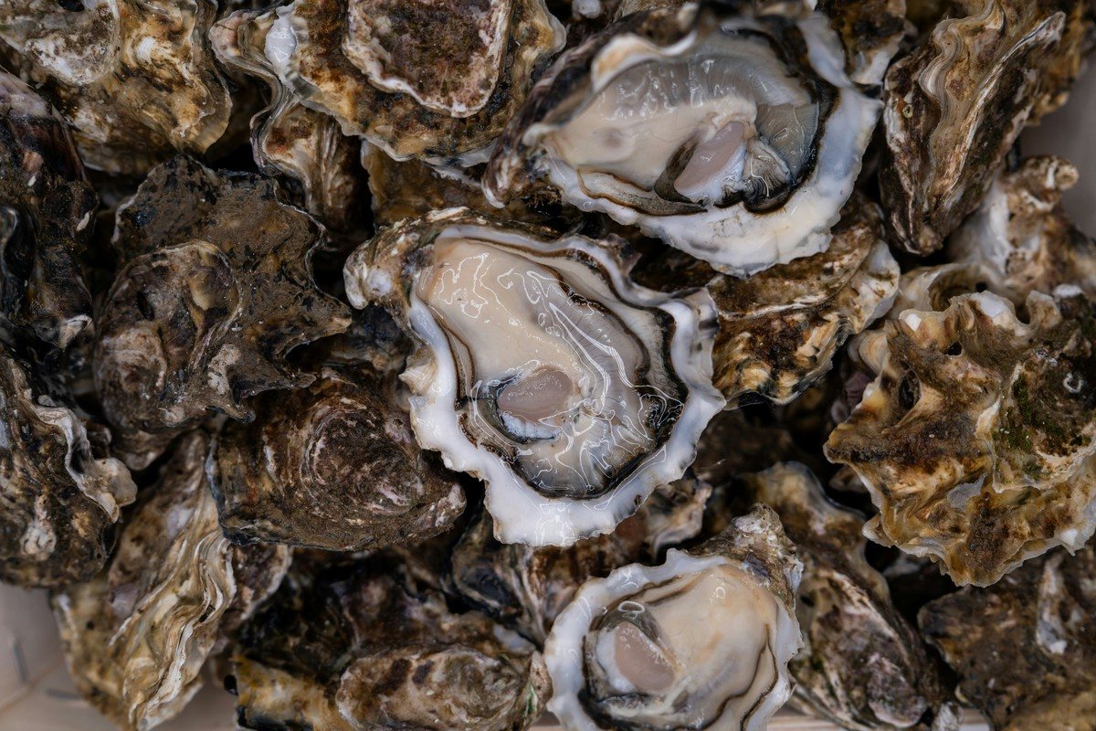 Huîtres creuses empilées, coquilles épaisses et bombées, dont deux ouvertes laissant voir la chair