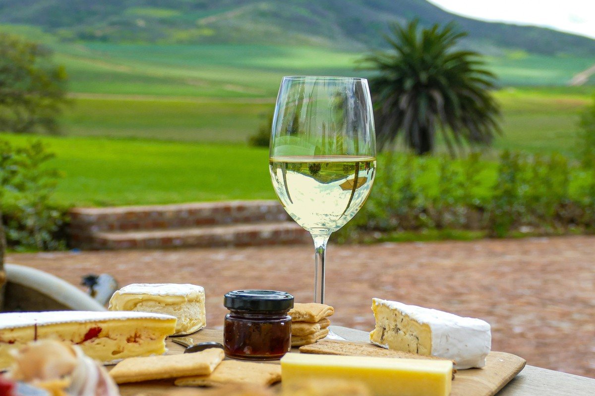 Plateau de fromages posé face aux vignes avec un verre de vin blanc sec plutôt qu'un rouge