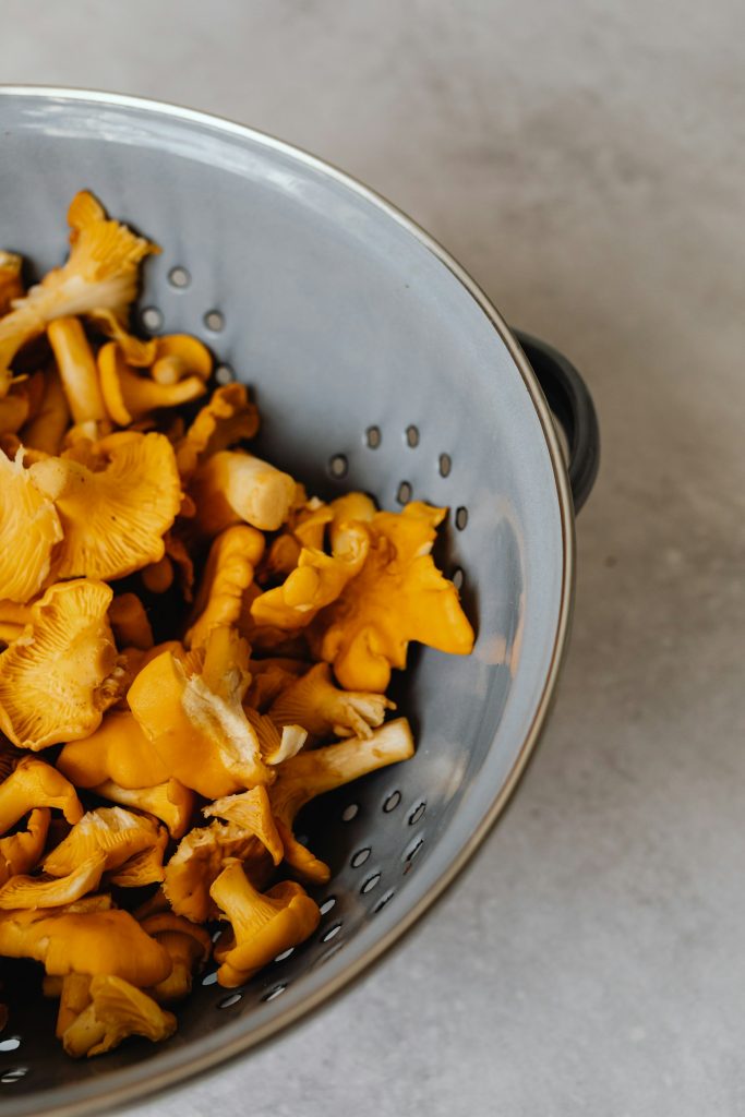 vin avec cèpes et girolles